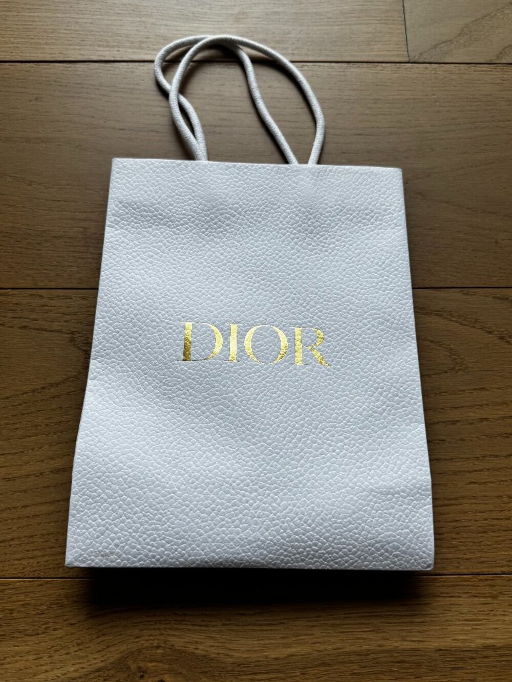 Dior Paper Bag